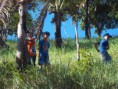 /album/especialidade-de-amigos-da-natureza-/aven-005-jpg/